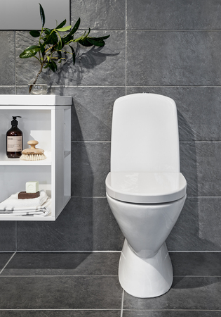 Wc Noro Wall Ni-Rim + Istuin