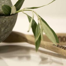 Tee oma ekologinen avokadokasvonaamio