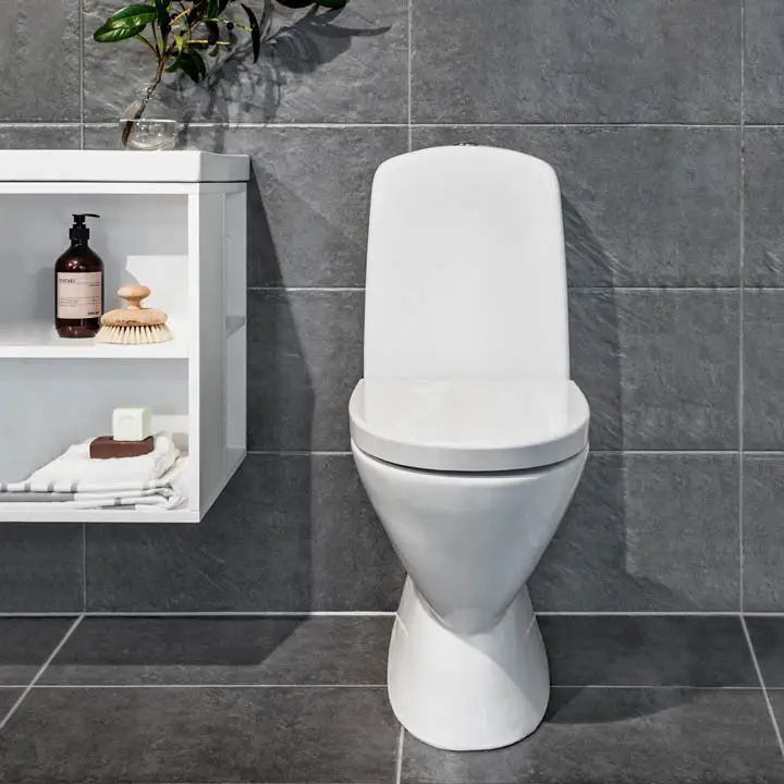 WC-istuin NORO Well No Rim