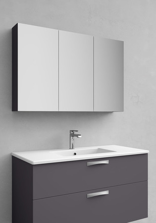 Peilikaappi Flex Antracit 1000